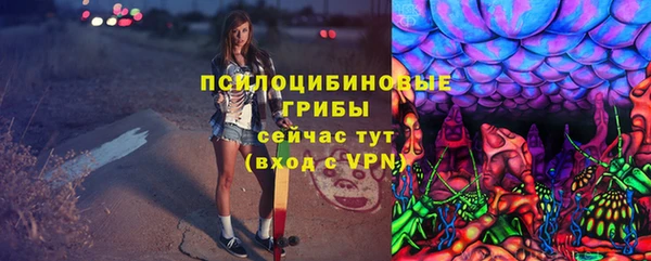 ГАЛЛЮЦИНОГЕННЫЕ ГРИБЫ Заводоуковск