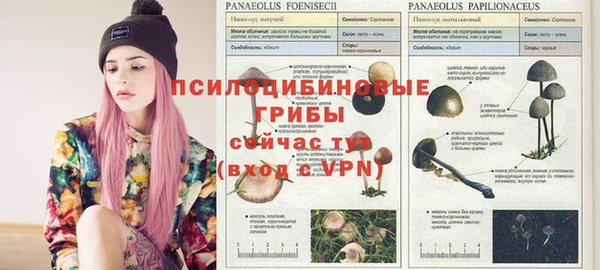 наркотики Ельня
