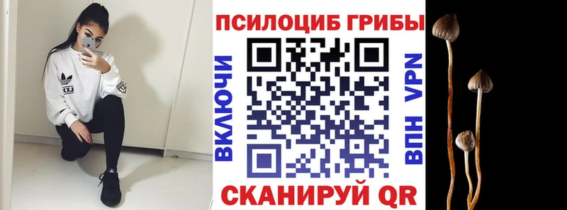 Псилоцибиновые грибы прущие грибы  Купить  Серов 